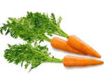 Ботва моркови от тромбофлебита